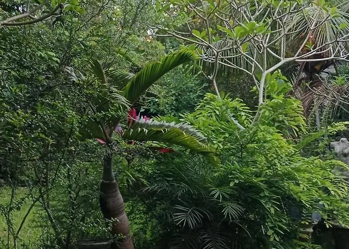 Pensión Madu Sentana House Ubud